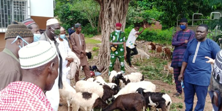 Remise de kits ovins aux éleveurs membres de l’APESS : le Dr Adamou MAMA SAMBO tient sa promesse !