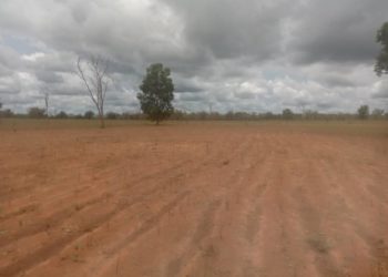 Société – Kandi: Des hectares de champs emportés par la pluie.