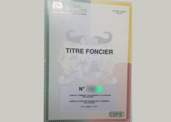 Foncier : l’ANDF passe au numérique