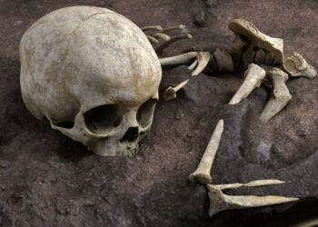 Profanation de tombes : jusqu’à quand va durer ce trafic macabre ?