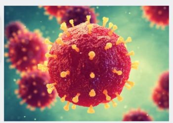 Bénin / Coronavirus : De nouveaux cas identifiés ce jour. (Les congés de pâques pourraient être anticipés)