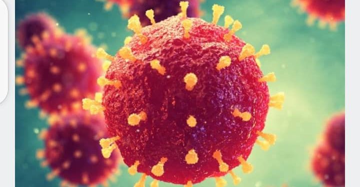 Bénin / Coronavirus : De nouveaux cas identifiés ce jour. (Les congés de pâques pourraient être anticipés)