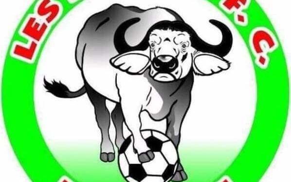 FOOTBALL / CONNAIS -TU MON CLUB SAISON 01 : Le jeu concours qui vous permet de connaître l’histoire des Buffles du Borgou