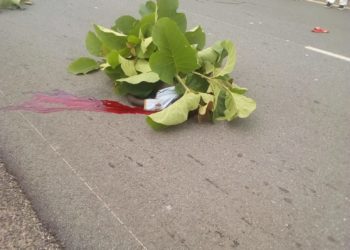 Drame à Djougou : un candidat au Cep perd la vie sur le chemin de retour, après composition.