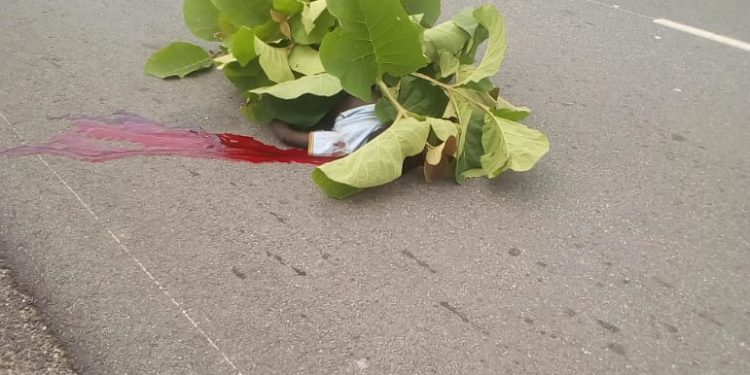 Drame à Djougou : un candidat au Cep perd la vie sur le chemin de retour, après composition.