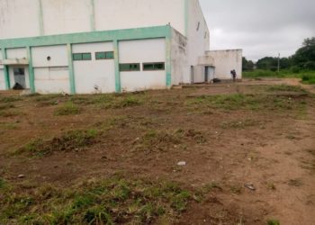 Culture / Coup de gueule de Rodrigue Gotovi : Le Ciné le Borgou débarrassé de ses hautes herbes.