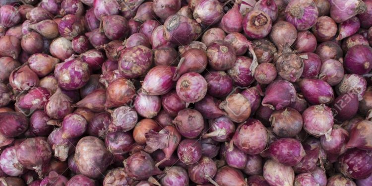 Société / Écho de nos marchés : Flambée du prix de l’oignon à Parakou.