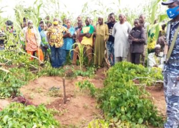 Drame/Nikki : un homme assassiné par un voleur de tubercules dans son champs
