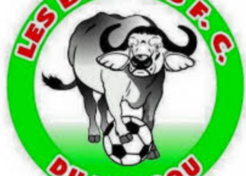 Super coupe du Bénin : Les Buffles du Borgou battus par Esae.