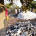 Nikki : Un enfant brûle 4 tonnes de coton de son père.
