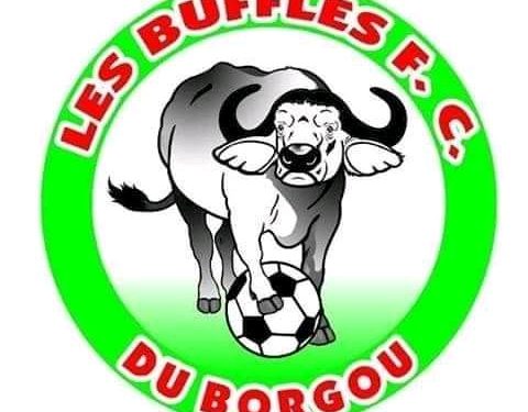 Bénin Ligue Pro J1: Buffles du Borgou reçoivent les Cavaliers de Nikki à 16h.