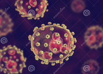 Alerte : Résurgence du virus Lassa au Bénin.