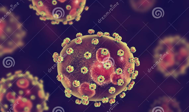 Alerte : Résurgence du virus Lassa au Bénin.