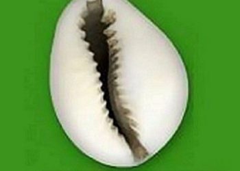 Présidentielle de 2021/Fcbe: Le duo Djimba-Hounkpe, contesté.