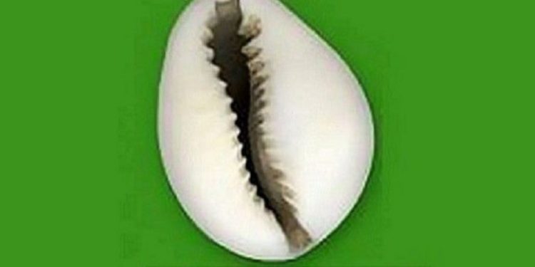 Présidentielle de 2021/Fcbe: Le duo Djimba-Hounkpe, contesté.