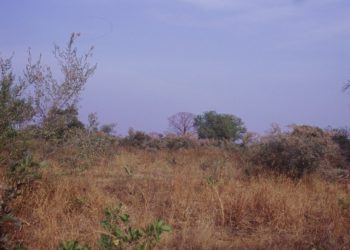 Kérou : Le calme revient à Brignanmaro après des affrontements meurtriers