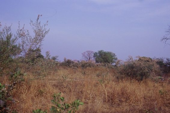 Kérou : Le calme revient à Brignanmaro après des affrontements meurtriers