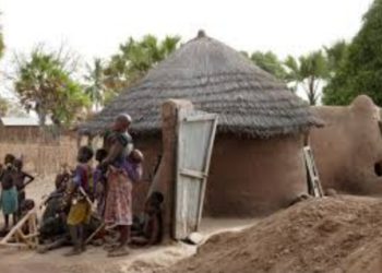 Toucountouna: Des agriculteurs demandent  l’expulsion des bouviers de leur village. Voici pourquoi.
