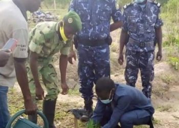 Journée Nationale de l’Arbre à Kalalé : le maire Tidjani Bani Chabi lance la campagne de reboisement dans la commune