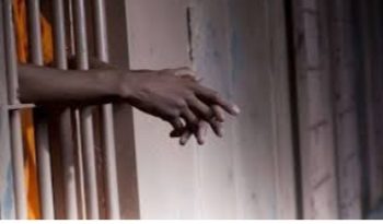 Pobè : Trois personnes en garde pour vol de plants.