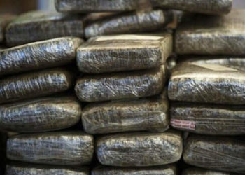 Bénin-trafic de drogue : saisie de 2575,73 kg de drogue à Sèmè-Kpodji