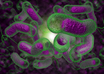 Santé : Aucun cas de choléra à Parakou, dixit Ibrahim Mama Cissé.