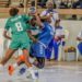 Playoffs-Handball : Flowers et Aspac pour deux finales d’anthologie