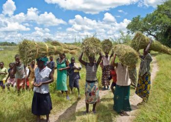 Urgent – Borgou : Des individus renvoient des cultivateurs et éleveurs de leurs domaines d’exploitation.
