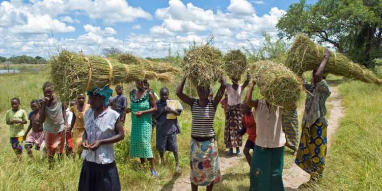Urgent – Borgou : Des individus renvoient des cultivateurs et éleveurs de leurs domaines d’exploitation.