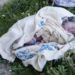Parakou-Insolite : Un nouveau né de 24h abandonné au bord d’un collecteur d’eau.