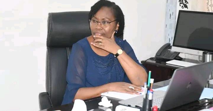 Lutte contre le chômage à l’Université de Parakou : Un centre de formation aux métiers professionnels bientôt en place.