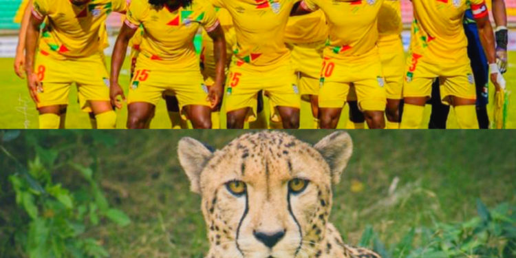 Football : Les Écureuils deviennent “Les Guépards du Bénin”.