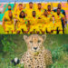 Football : Les Écureuils deviennent “Les Guépards du Bénin”.