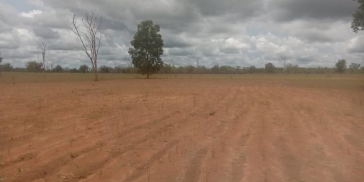 Société – Kandi: Des hectares de champs emportés par la pluie.