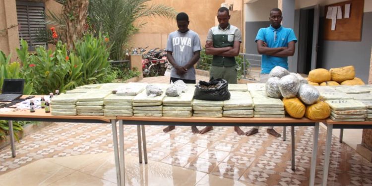 Trafic de drogue : 109 kg de cannabis venant du Bénin, saisi au Niger.