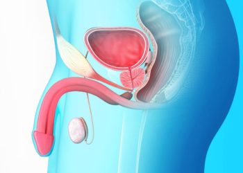 Parakou – Santé : la DCSSA/Centre Médico – Social Garnison de Parakou organise une Campagne de dépistage du Cancer de la prostate.