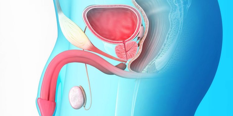 Parakou – Santé : la DCSSA/Centre Médico – Social Garnison de Parakou organise une Campagne de dépistage du Cancer de la prostate.