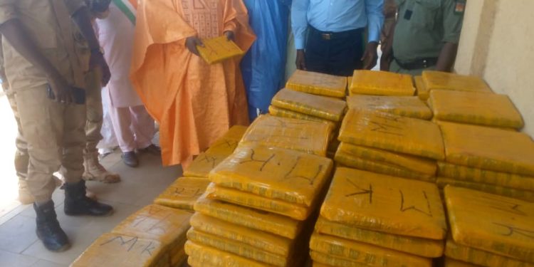Lutte contre le trafic de drogue : En provenance du Bénin, d’importante quantité de chanvre indien arraisonnée par le poste frontalier de Sabon Birni au Niger.