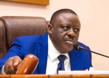 Assemblée Nationale : À peine installé, Louis Vlavonou propose de retoucher la constitution.