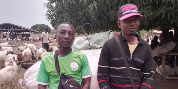Tabaski 2023 : Nassirou et Assad, les Parakois qui se font de l’argent sans vendre des moutons.