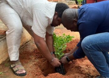 Togo- Journée nationale de l’arbre : Le patron du Groupe Harmonies Sidikou Karimou a sacrifié à la tradition.