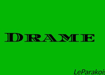 Niger : Une étudiante béninoise charcutée devant sa maison