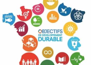 Développement Durable : le Bénin classé 5e sur 74 pays.