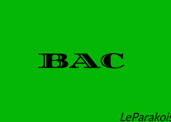 Office du Baccalauréat : La deuxième délibération prévue pour aujourd’hui.Voici comment consulter son résultat.