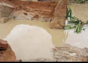 Bénin : L’axe Karimama-Guéné ne passe plus.