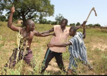 Conflits entre agriculteurs et éleveurs au Bénin : Terreau de l’extrémisme violent.