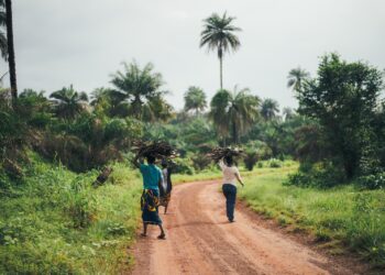 Afrique : Les rapports sur le changement climatique doivent refléter les défis énergétiques des pays africains.