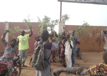 Football – Buffles du Borgou : Des supporteurs en colère réclament la démission du coach.