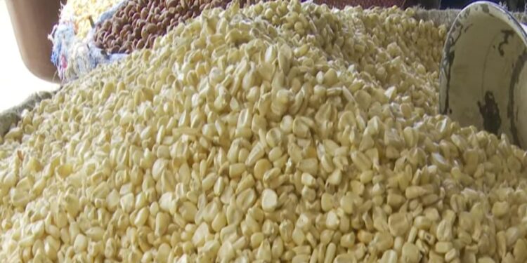 Parakou : La cherté du maïs pèse lourdement sur les vendeuses.