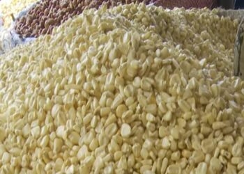 Cherté de la vie : Le Bénin interdit l’exportation du maïs.